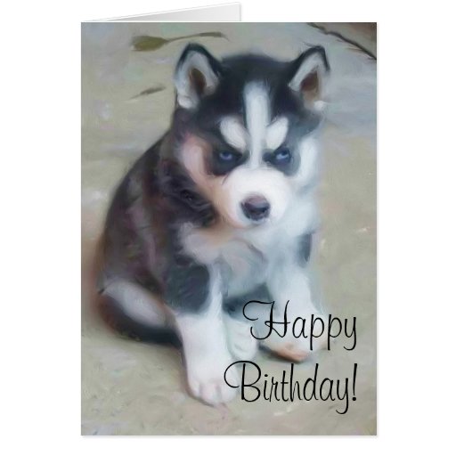 Happy Birthday Siberian husky greeting card | Zazzle