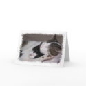 Happy Birthday Snuggle Baby cards by supermuper Happy Birthday Snuggle Baby cards