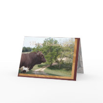 Happy Birthday Son-customize cards by MakaraPhotos Happy Birthday Son-customize cards