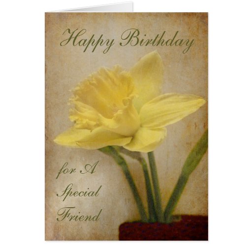 Happy Birthday, Special Friend Cards