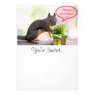 Happy Birthday Squirrel Announcement