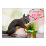 Happy Birthday Squirrel Cards