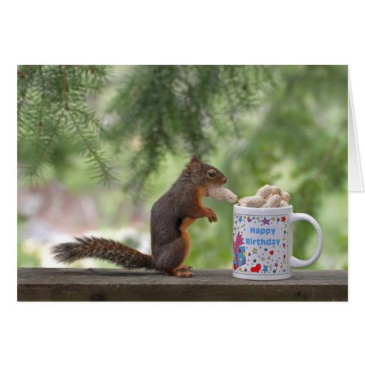 happy-birthday-squirrel-greeting-card-zazzle