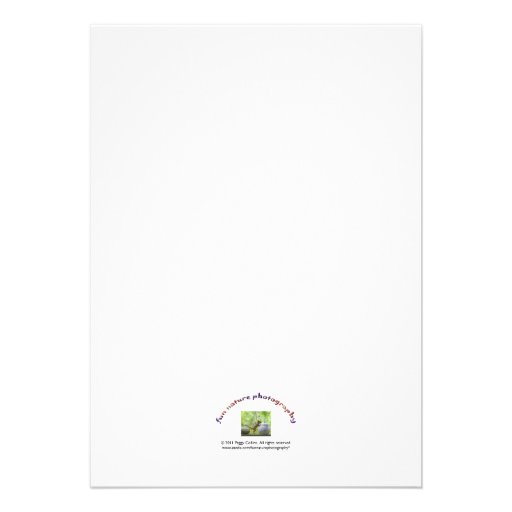 Happy Birthday Squirrel Invites