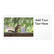 Happy Birthday Squirrel Photo Cards