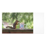 Happy Birthday Squirrel Photo Greeting Card