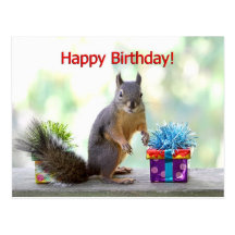 Happy Birthday Squirrel Post Card