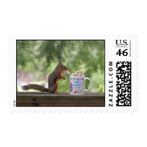 Happy Birthday Squirrel Postage Stamp