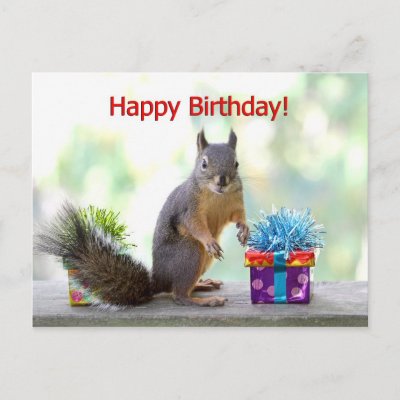 Happy Birthday Squirrel Post Card