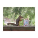 Happy Birthday Squirrel Post Cards