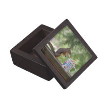Happy Birthday Squirrel Premium Gift Box