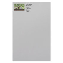 Happy Birthday Squirrel Stationery Paper