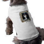 Happy Birthday - Stone Paws - Cavalier Pet Clothing
