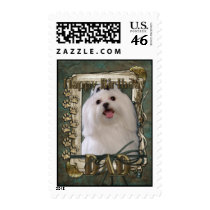 Happy Birthday - Stone Paws - Maltese - Dad Stamps