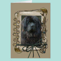 Happy Birthday - Stone Paws - Newfoundland cards