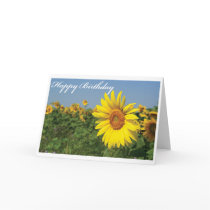 Happy Birthday Sunflower cards by DoodleBugTees Happy Birthday Sunflower cards