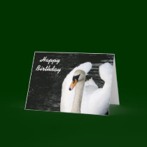 Happy Birthday swan card