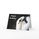 Happy Birthday swan card