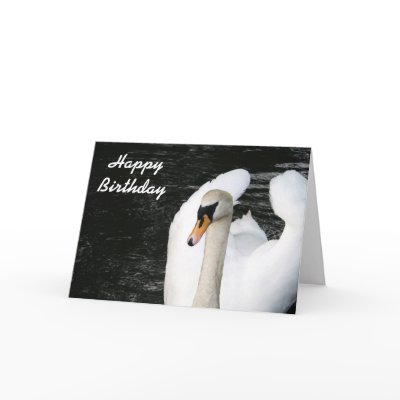 Happy Birthday swan card by mmersdesign