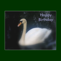 Happy Birthday swan postcard