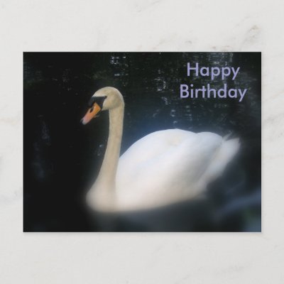 happy birthday wishes for friend. Happy Birthday swan postcard