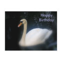 Happy Birthday swan postcard