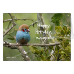 Happy Birthday, Sweetie Greeting Card