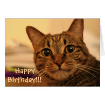 Happy Birthday Tabby Cat Card