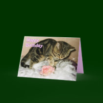 Happy Birthday - Tabby kitten birthday card