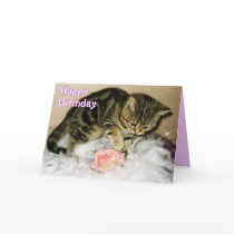 Happy Birthday - Tabby kitten birthday card