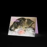 Happy Birthday - Tabby Kitten Birthday card