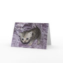 Happy Birthday Tabby Kitten Greeting card