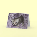 Happy Birthday Tabby Kitten Greeting card