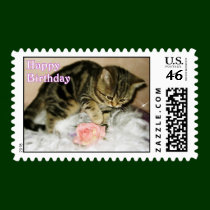 Happy Birthday - Tabby kitten postage postage