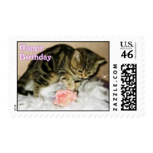 Happy Birthday - Tabby kitten postage