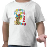 Happy Birthday Teddy Bear 2nd Birthday T-shirt