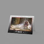 Happy Birthday Tiger Card cards