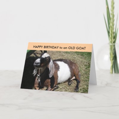 Goat Birthday Cards