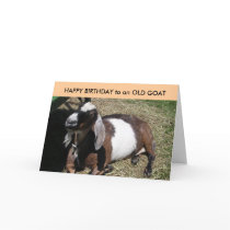 HAPPY BIRTHDAY to an OLD GOAT cards