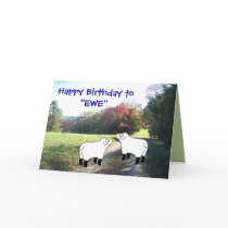 Happy Birthday to "EWE"-customize any occasion Greeting Cards