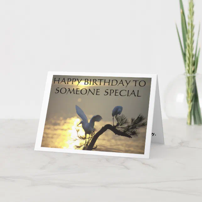 HAPPY BIRTHDAY TO SOMEONE SPECIAL CARD Zazzle