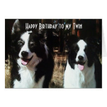 HAPPY BIRTHDAY TO THE FUN TWIN GREETING CARD