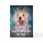 Happy Birthday To You! cards