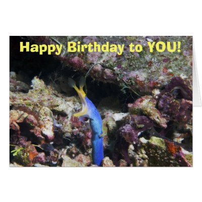 Happy Birthday to YOU! Cards by KatyDinner