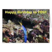Happy Birthday to YOU! cards by KatyDinner Happy Birthday to YOU! cards