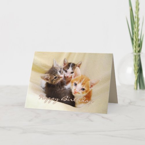 birthday cards free. Action Cat Cards free cat card