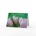 Happy Birthday - Tulips Card card