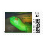 Happy Birthday Turtle Postage