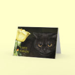 Happy Birthday - Venezia Cat Greeting card