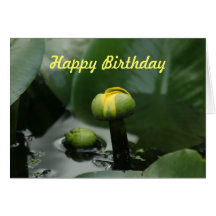 Happy Birthday Water Lily Bud Greeting Card